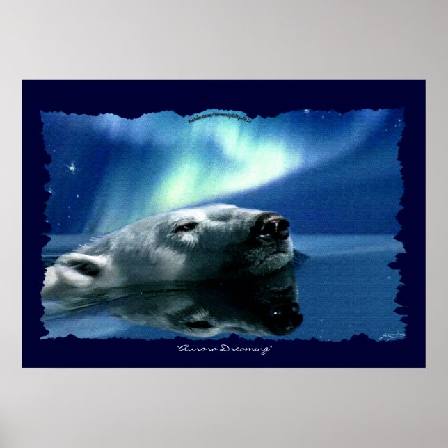 Polar Bear Arctic Wildlife Art Poster (Front)