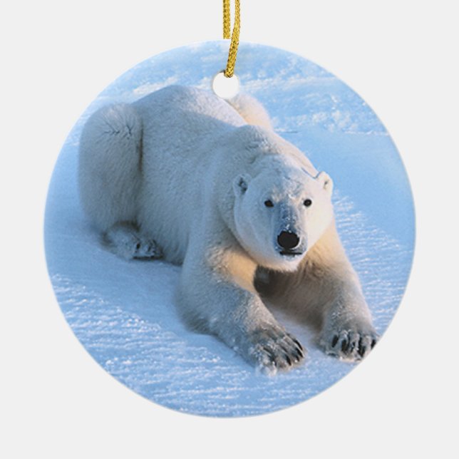 Polar Bear Blue Ceramic Tree Decoration (Front)