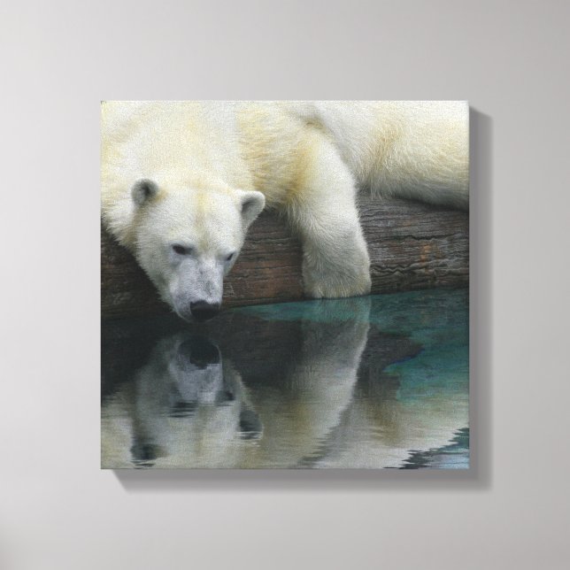 Polar Bear Canvas - Polar Bear Reflections Print (Front)