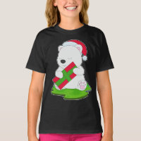 Polar bear Christmas Package