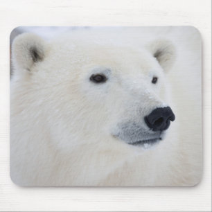 Polar Bear Churchill Mouse Pad