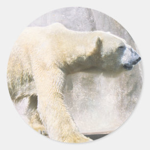 polar bear classic round sticker