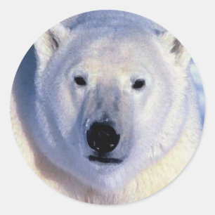 Polar Bear Classic Round Sticker