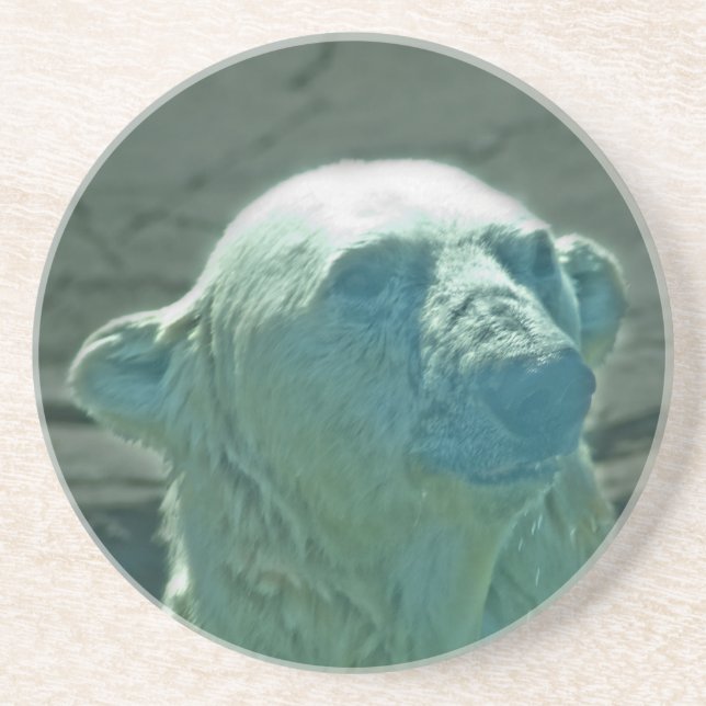 Polar Bear Coaster (Front)