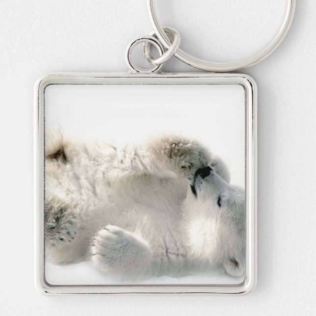 Polar Bear Cub Cute Animal Arctic Frozen Winter Key Ring (Front)