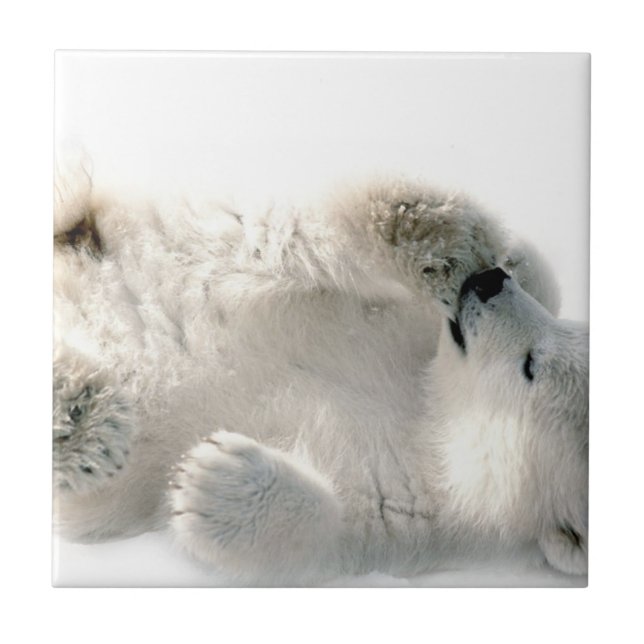 Polar Bear Cub Cute Animal Arctic Frozen Winter Tile (Front)
