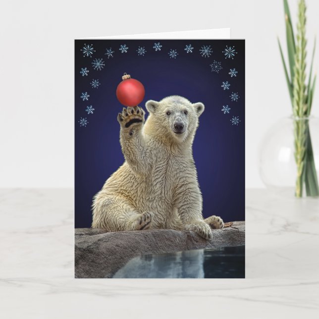 Polar Bear Cub Holiday Card (Front)