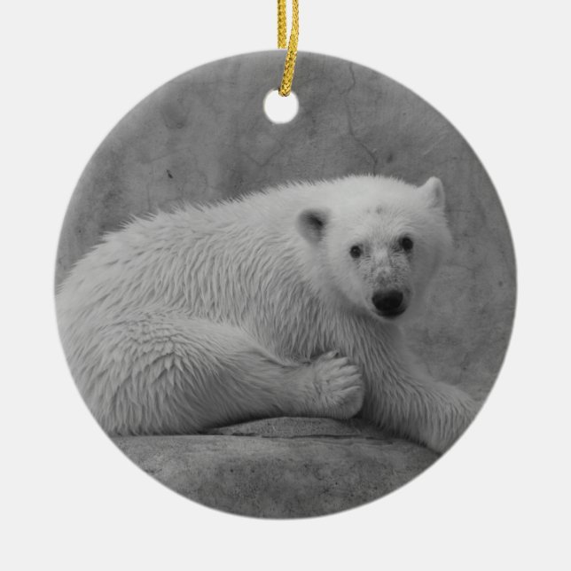 Polar Bear Cub Ornament (Front)