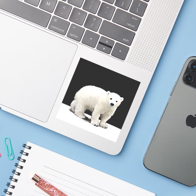 Polar Bear Cub Painting - Oiginal Wildlife Art (Laptop w/ iPhone)