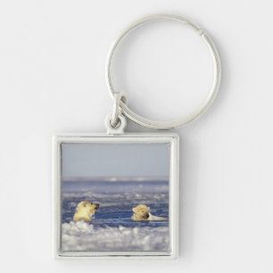 Polar bear cubs playing key ring