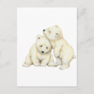 Polar Bear Cubs Postcard