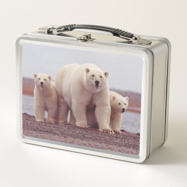 Polar Bear Cute Family Mother and Cubs Photo Metal Lunch Box (Front)