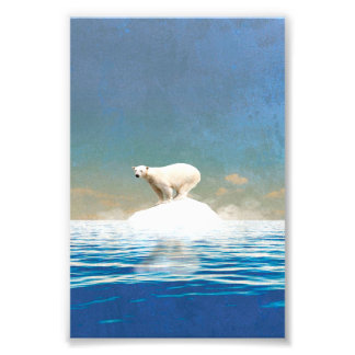 Polar Bear Decor | Art for Home Office Photo Print