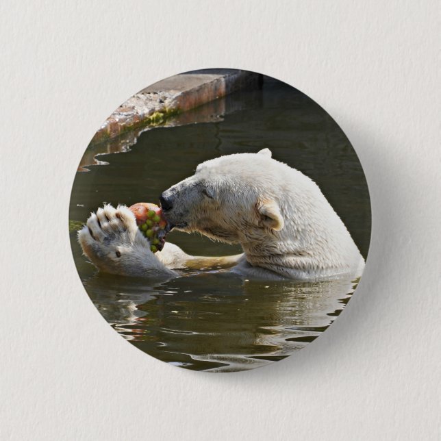 Polar Bear Eating Fruit Badge (Front)