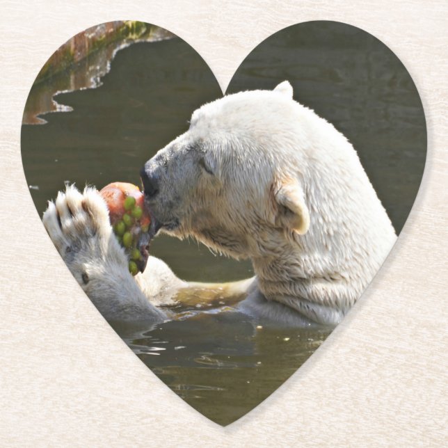 Polar Bear Eating Fruit Capture Paper Coaster (Front)
