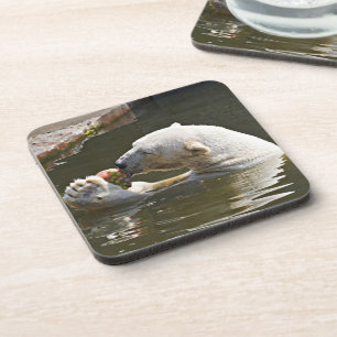 Polar Bear Eating Fruit Detail Coaster