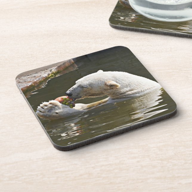 Polar Bear Eating Fruit Detail Coaster (Left Side)