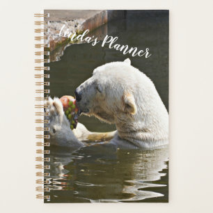 Polar Bear Eating Fruit Organiser