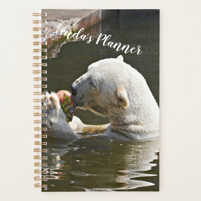 Polar Bear Eating Fruit Organiser (Front)