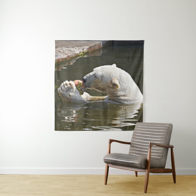 Polar Bear Eating Fruit Panorama Tapestry (In Situ)