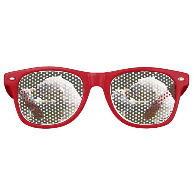 Polar Bear Eating Fruit Reflection Retro Sunglasses (Front)