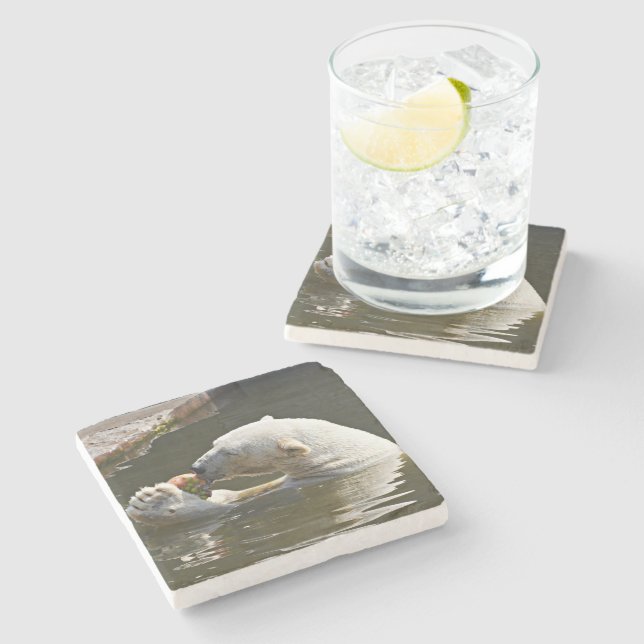 Polar Bear Eating Fruit View Stone Coaster (Side)