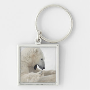 Polar bear engaging in a fight with another bear key ring