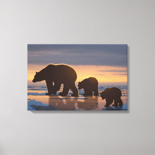 Polar Bear Family Canvas Print
