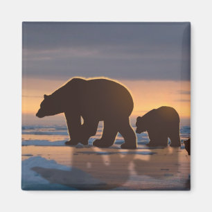 Polar Bear family Magnet