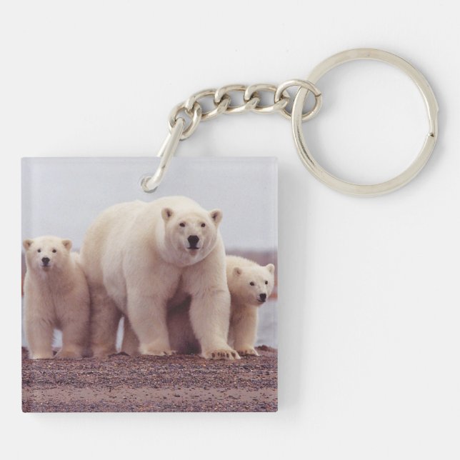 Polar Bear Family Mother and Cubs Photo Key Ring (Back)