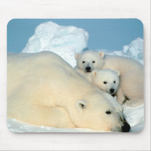 Polar Bear Family Mouse Pad
