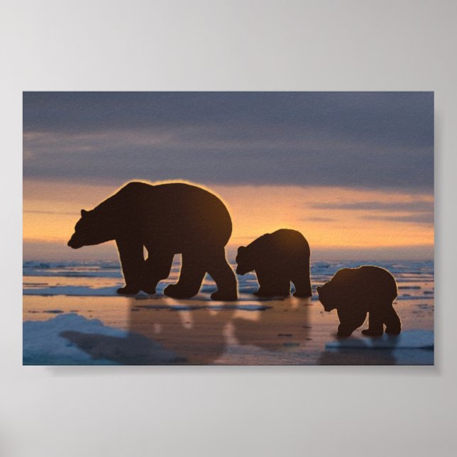 Polar Bear family Poster (Front)