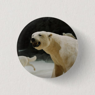 Polar Bear Grin 3 Cm Round Badge