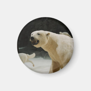 Polar Bear Grin Magnet