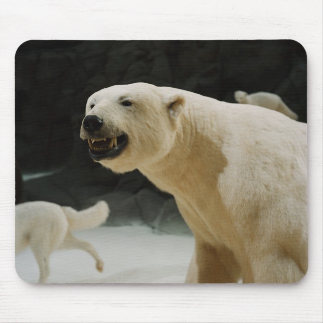 Polar Bear Grin Mouse Pad (Front)