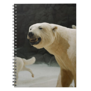 Polar Bear Grin Notebook