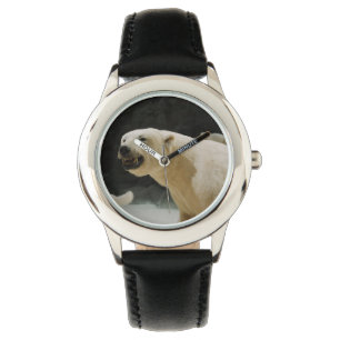 Polar Bear Grin Watch