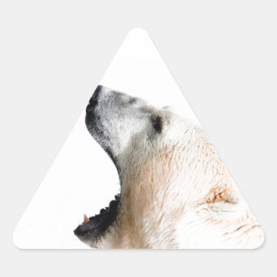 Polar bear growl triangle sticker