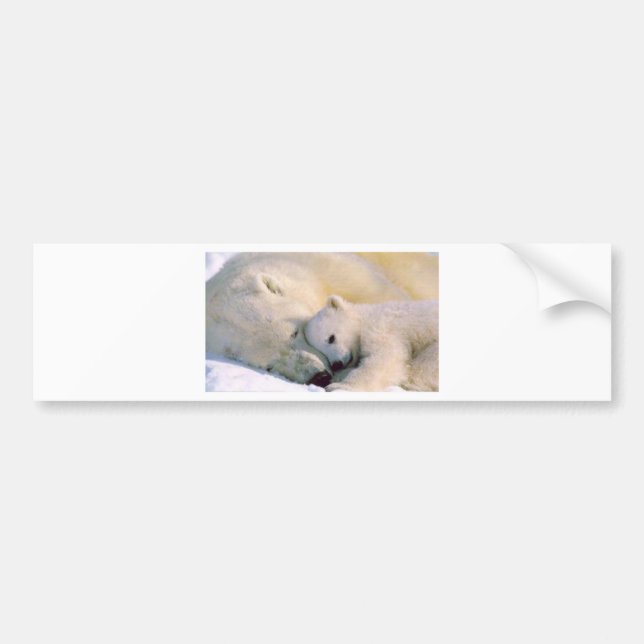 Polar Bear Hugs Bumper Sticker (Front)