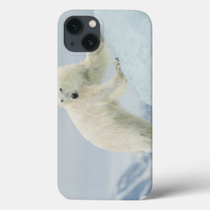 Polar bear in summer iPhone 13 case