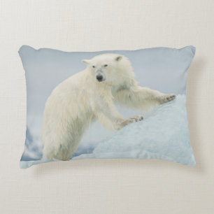 Polar bear in summer decorative cushion