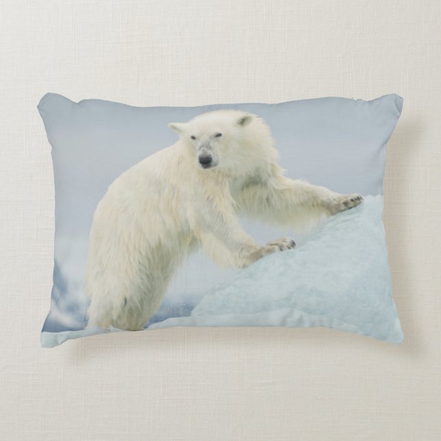 Polar bear in summer decorative cushion (Front)