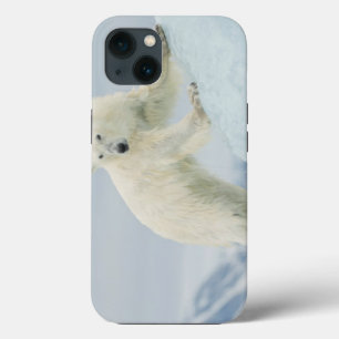 Polar bear in summer iPhone 13 case