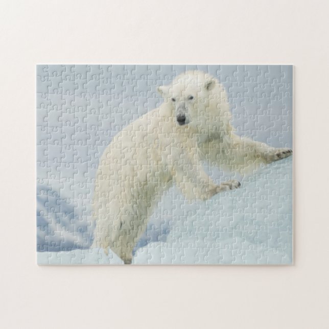 Polar bear in summer jigsaw puzzle (Horizontal)