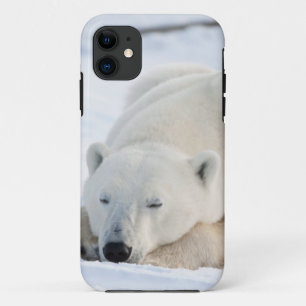Polar Bear in winter Case-Mate iPhone Case