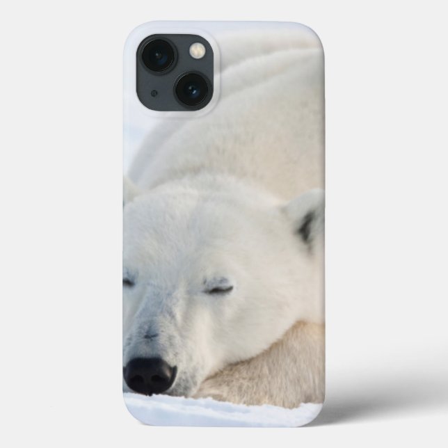 Polar Bear in winter Case-Mate iPhone Case (Back)