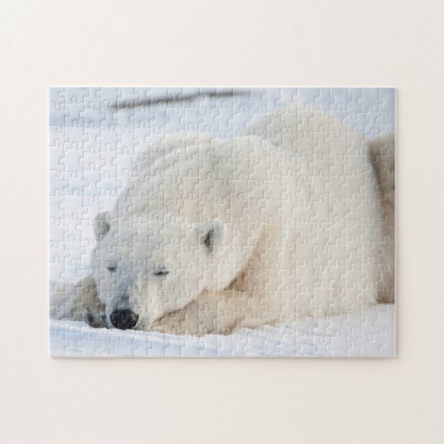 Polar Bear in winter Jigsaw Puzzle (Horizontal)