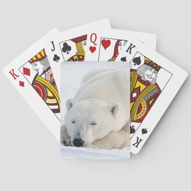 Polar Bear in winter Playing Cards (Back)