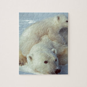 Polar Bear Jigsaw Puzzle
