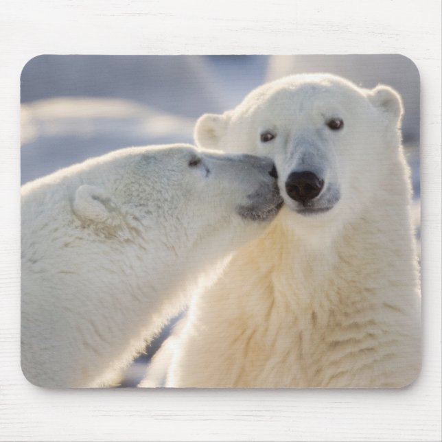 Polar Bear Kiss Mouse Pad (Front)